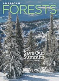 American Forests cover