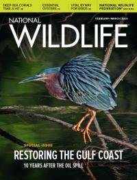 National Wildlife cover