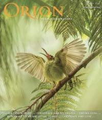 Orion cover