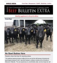 Angus Beef Bulletin cover