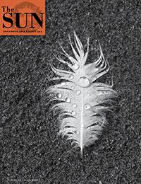 The Sun cover