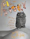 Zoetrope: All-Story Short Fiction Contest cover