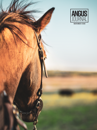 Angus Journal cover