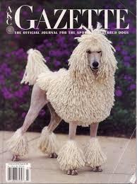 AKC Gazette cover
