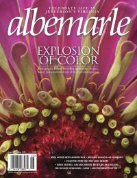 Albemarle cover
