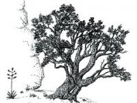 Prescott College National Writing Contest cover