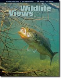 Arizona Wildlife Views cover