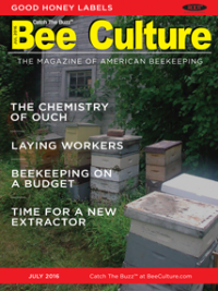 Bee Culture cover