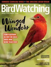BirdWatching cover