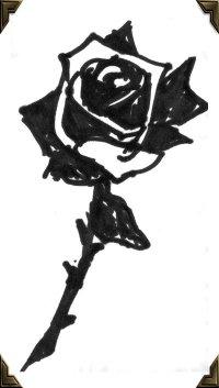 Black Rose Writing cover