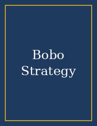 Bobo Strategy cover