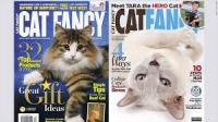 Cat Fancy cover