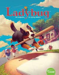 Ladybug cover