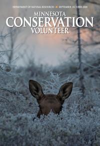 Minnesota Conservation Volunteer cover