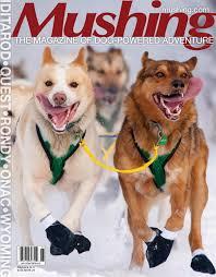 Mushing cover