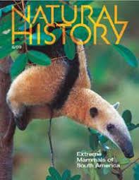 Natural History cover