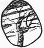Pecan Grove Press cover