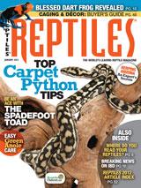REPTILES cover