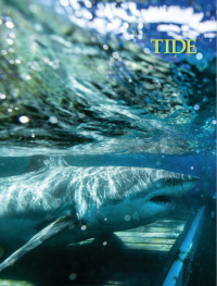 Tide Magazine cover