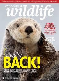 Canadian Wildlife cover